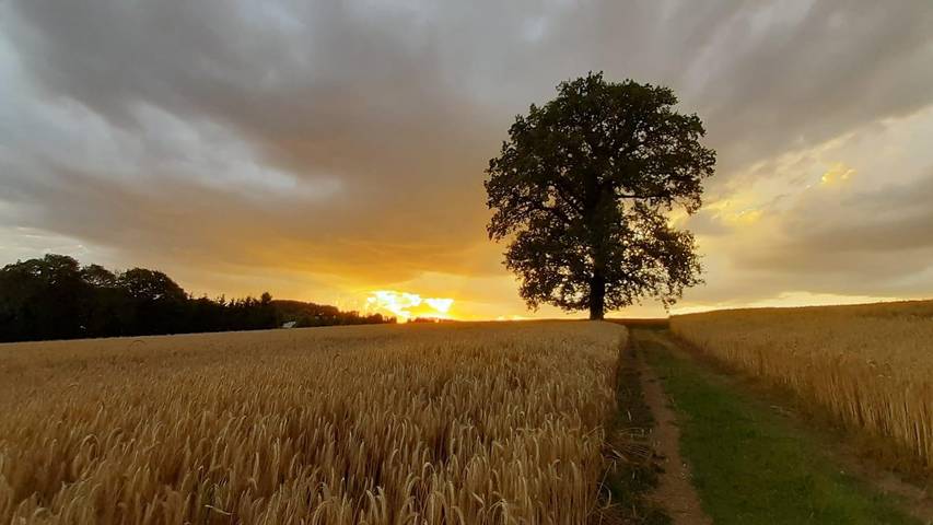 Ferienhaus für 4 Personen, mit Garten im Erzgebirge - 2