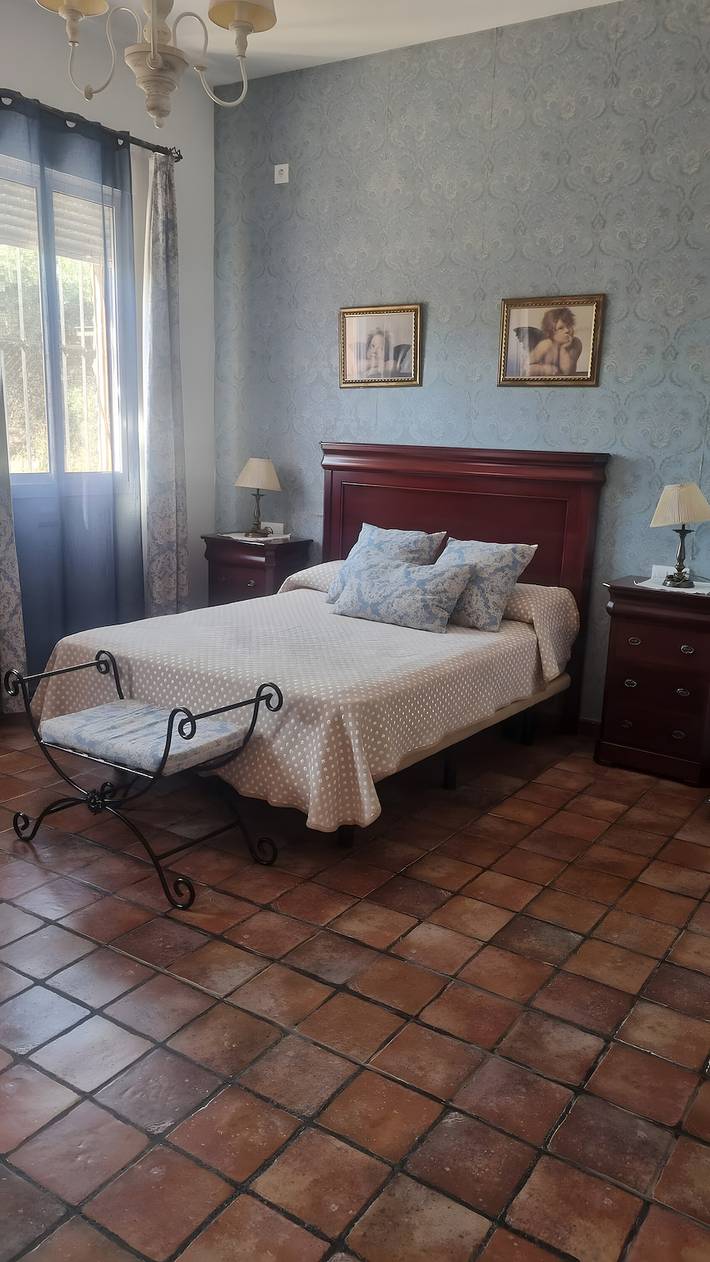 Casa rural para 10 personas, con jardín, Se admiten mascotas en Sierra Norte de Sevilla - 4
