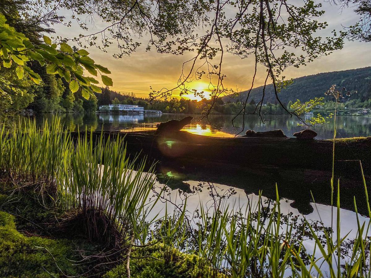 Appart'Hôtel Lido au bord de l'eau in Lac de Gérardmer, Gérardmer