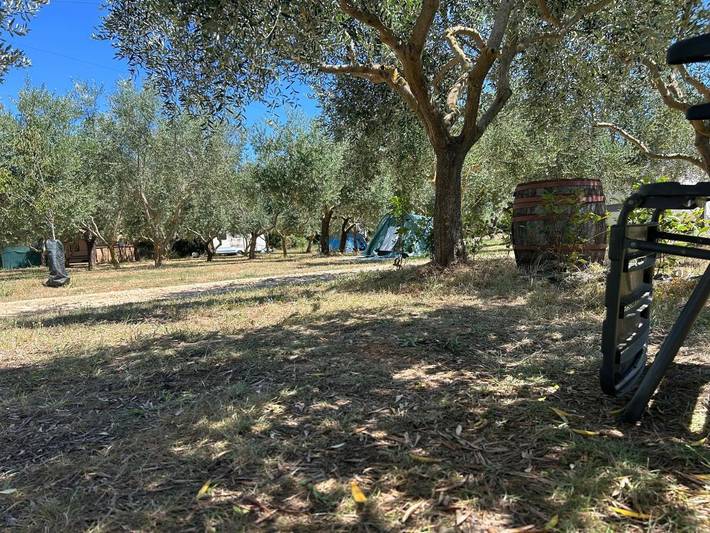 Camping pour 2 personnes, avec piscine ainsi que vue et jardin en Croatie - 4