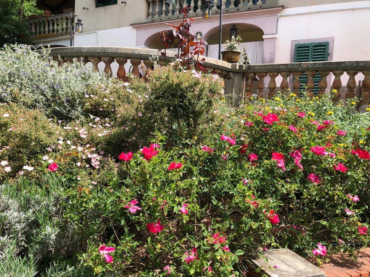 Apartment with Terrace in Montevarchi, Valdarno