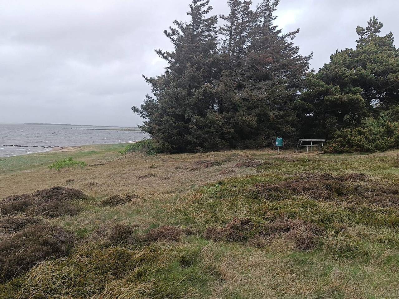 Meeresruhe am Skaven Strand in Skaven Strand, Ringkøbing Fjord