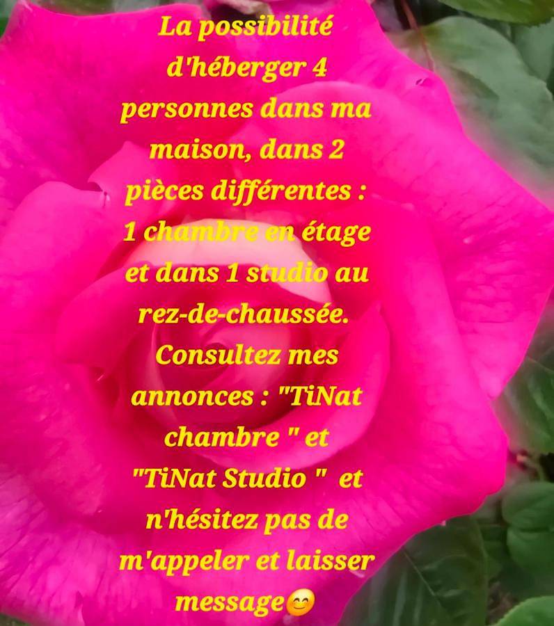 Tinat chambre avec grand jardin, parking gratuit in Douarnenez, Région de Quimper