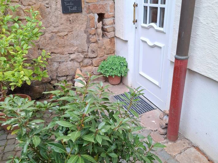 Ferienwohnung für 3 Personen, mit Terrasse und Garten in Hambach (Neustadt) - 2