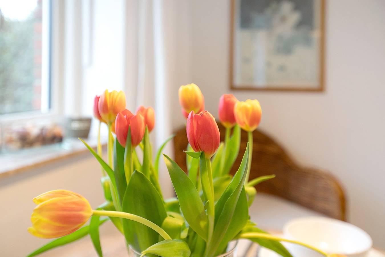 Studio Appartement 'Lüttdeel' met privé terras, privé tuin en Wi-Fi, foto 9
