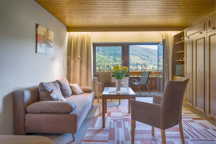 Ganze Ferienwohnung, Drei Tannen - Wohnung 08 - Apartmenthaus, Titisee, Feldberg in Titisee-Neustadt, Südschwarzwald