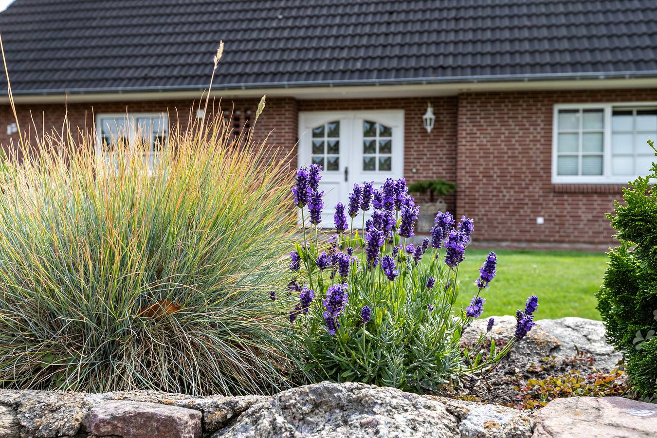 Ganze Wohnung, Ferienwohnung Meeressand" mit Balkon und Wlan in St. Peter-Bad, St. Peter-Ording