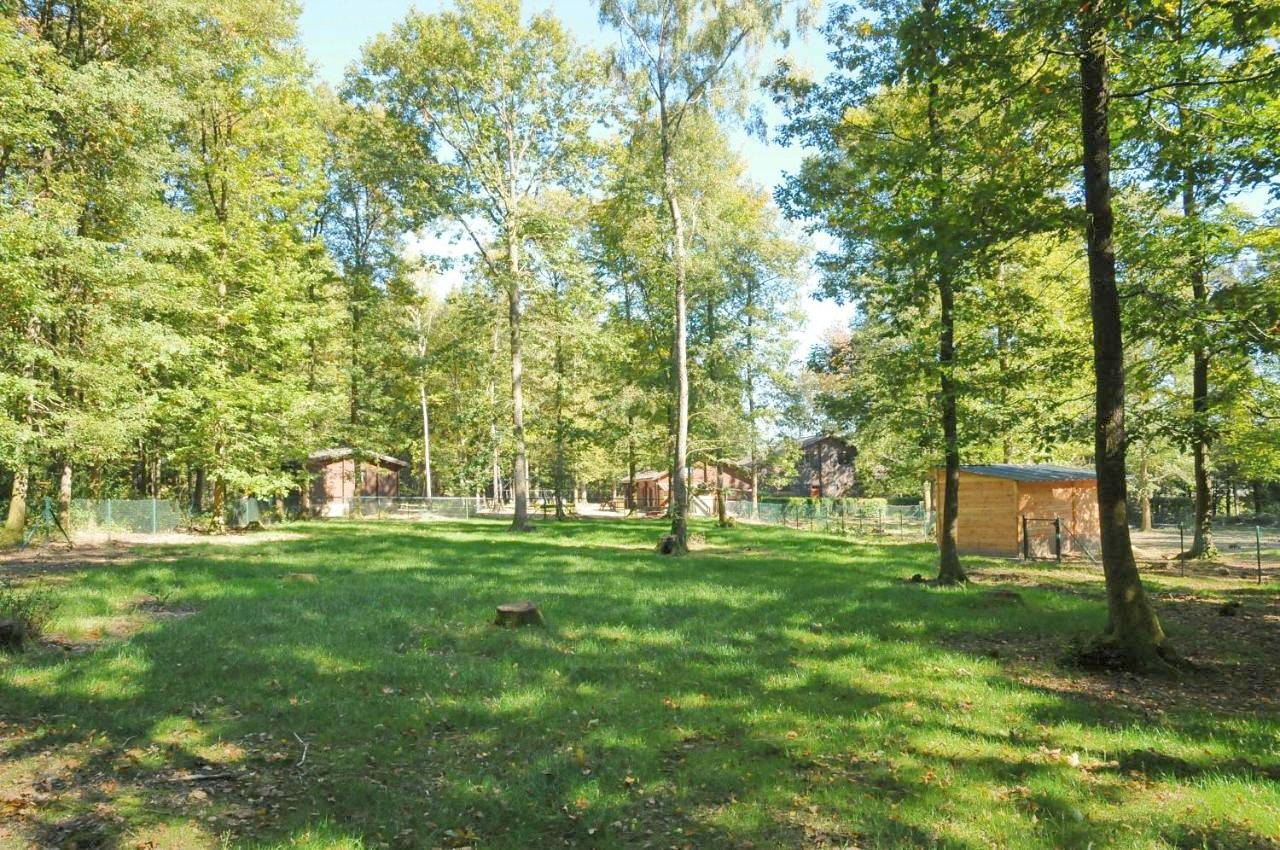 Two-Bedroom Bungalow - Independant in Viroinval, Parc Naturel Viroin Hermeton
