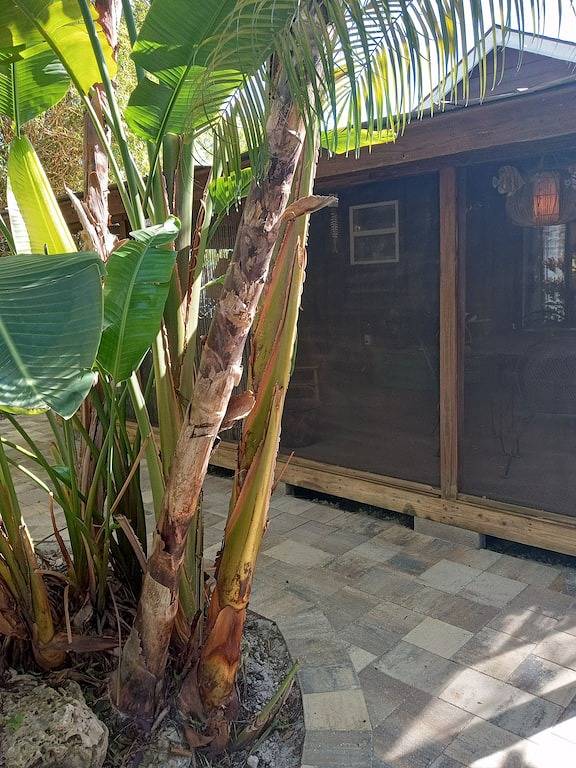 Aug, Sept, Okt, Nov $ 65, Tropisches Paradies, am Wasser, privat. Kostenlose Kajaks in Hudson, Pasco County