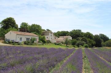 Maison d’hôte pour 4 personnes, avec piscine et terrasse à Forcalquier