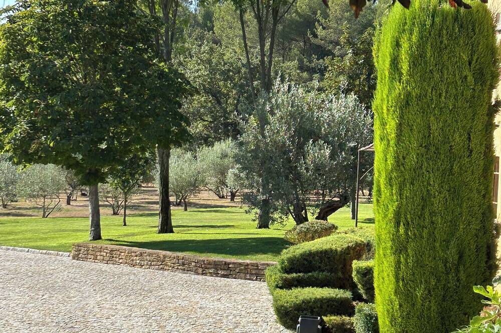 Pretty Country Cottage In Magnificent Olive Grove in Trets, Aix-en-Provence region