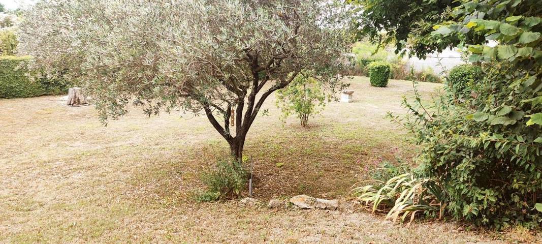 Alojamiento y desayuno para 2 personas, con jardín y terraza - 1