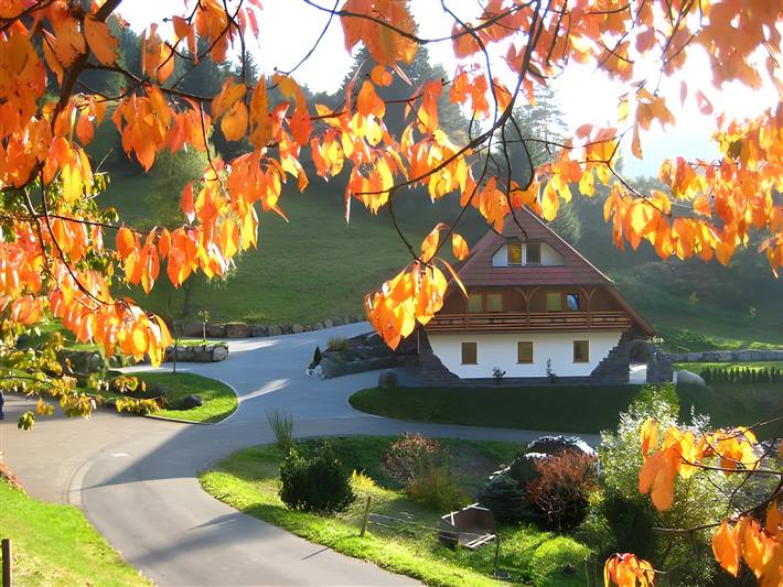 Ferienwohnung für 6 Personen, mit Garten, mit Haustier in Triberg - 4