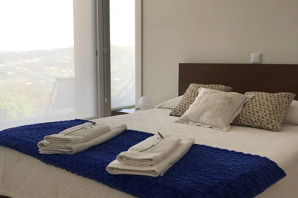 Vald'arêgos Douro Rural Tourism - \"Alpendre\" House in Resende, Douro-Tal