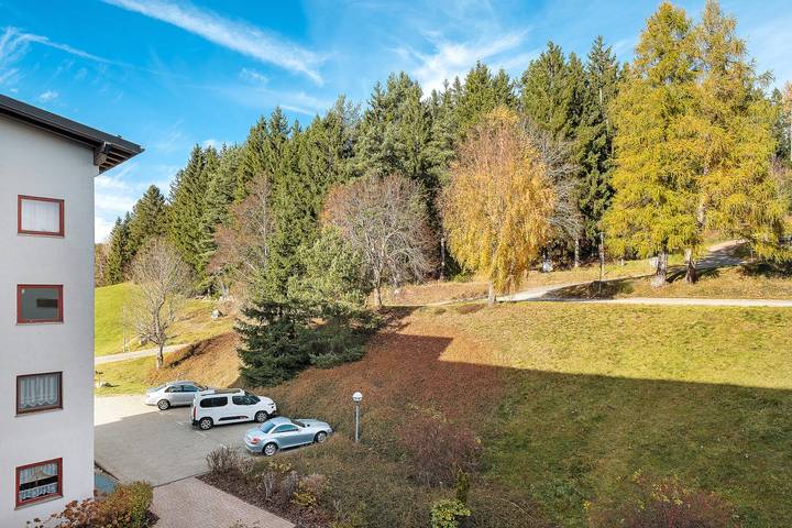 Gîte pour 4 personnes, avec balcon et sauna à Schluchsee - 3
