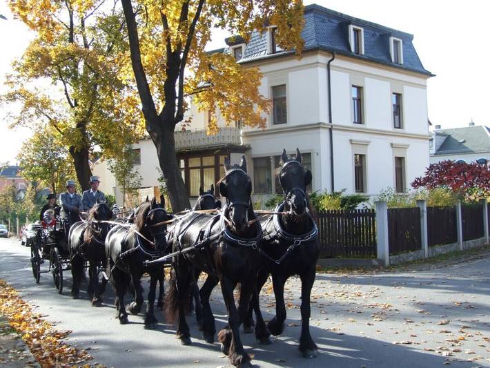 Ferienhaus für 3 Personen, mit Balkon und Garten in Radebeul - 2