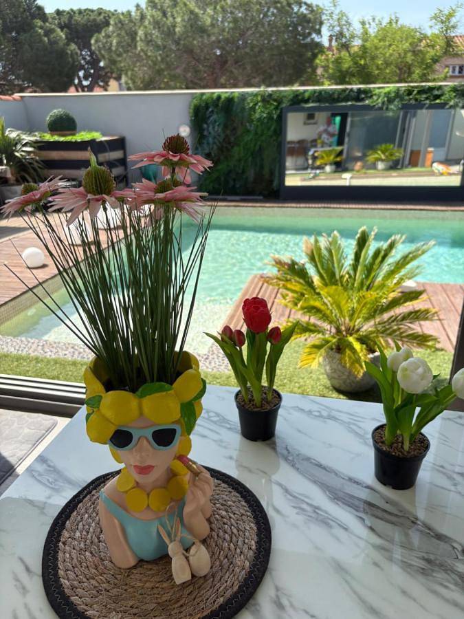 Location de vacances pour 4 personnes, avec jacuzzi ainsi que jardin et piscine, animaux acceptés à Saint-Estève - 2