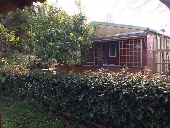 Gîte pour 4 personnes, avec jardin et vue à Sorbo-Ocagnano - 2