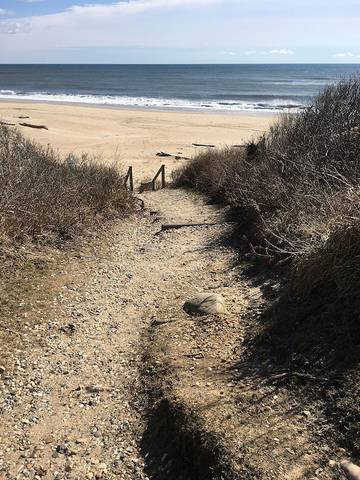 Vacation House for 6 Guests in Montauk, North Fork, Picture 4