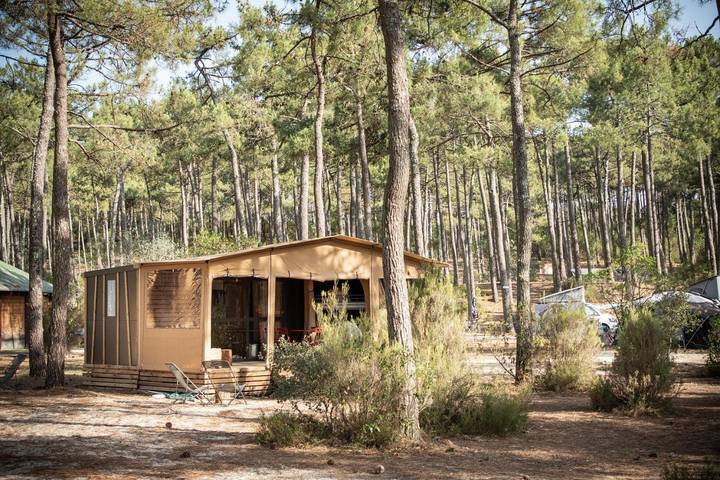 Gîte pour 5 personnes, avec terrasse et piscine, animaux acceptés dans Bombannes