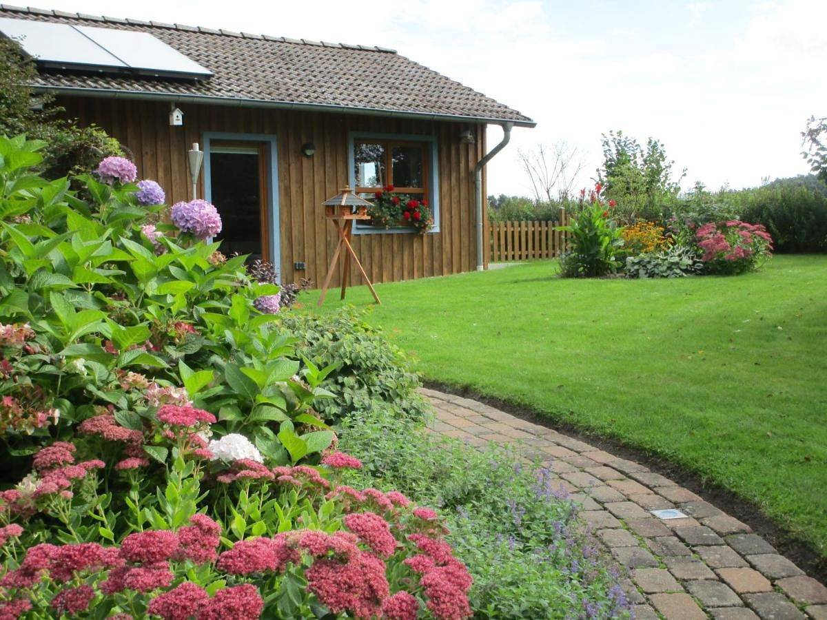 Studio with Terrace in Celle, Aller-Leine-Tal
