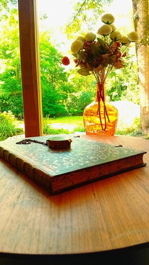 Gîte pour 2 personnes, avec vue sur le lac et jardin ainsi que vue et terrasse dans Aye - 3