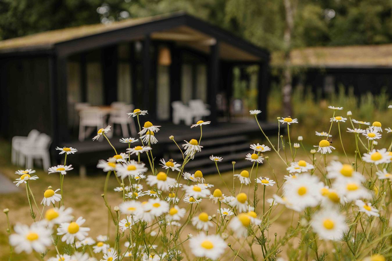 Wb Resort Gmbh — The Hills mit Hot tub | 4 Pers. in Wilsum, Landkreis Grafschaft Bentheim