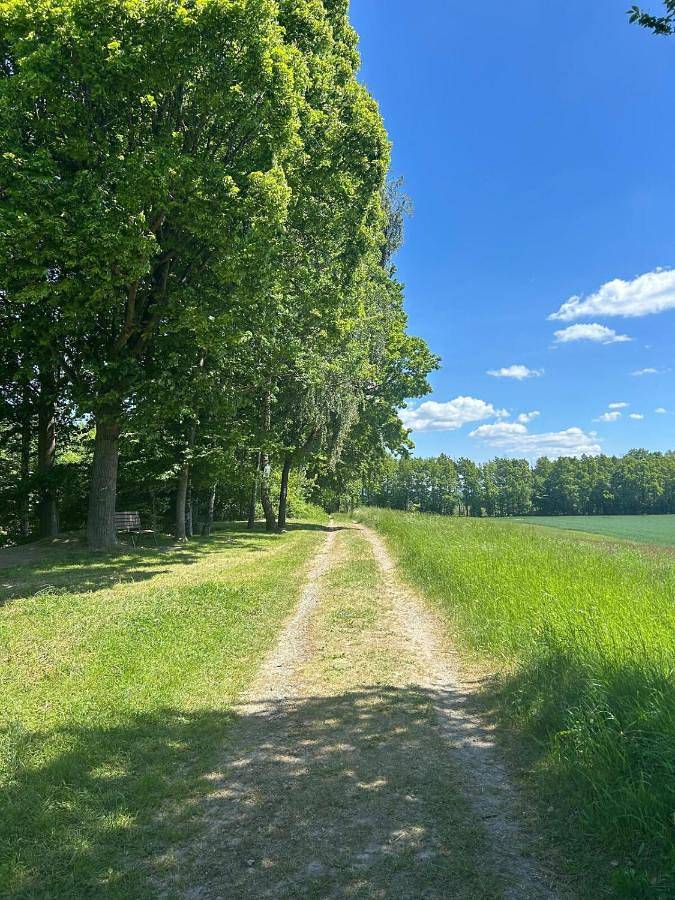 Ferienwohnung für 2 Personen, mit Garten in Blomberg - 4
