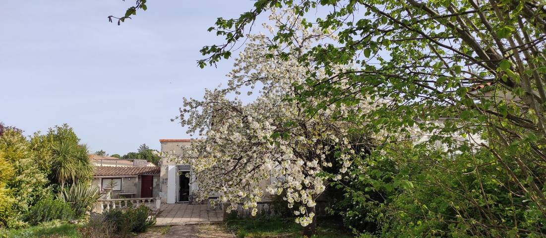 Gîte pour 6 personnes, avec jardin et terrasse, animaux acceptés à Cognac - 3