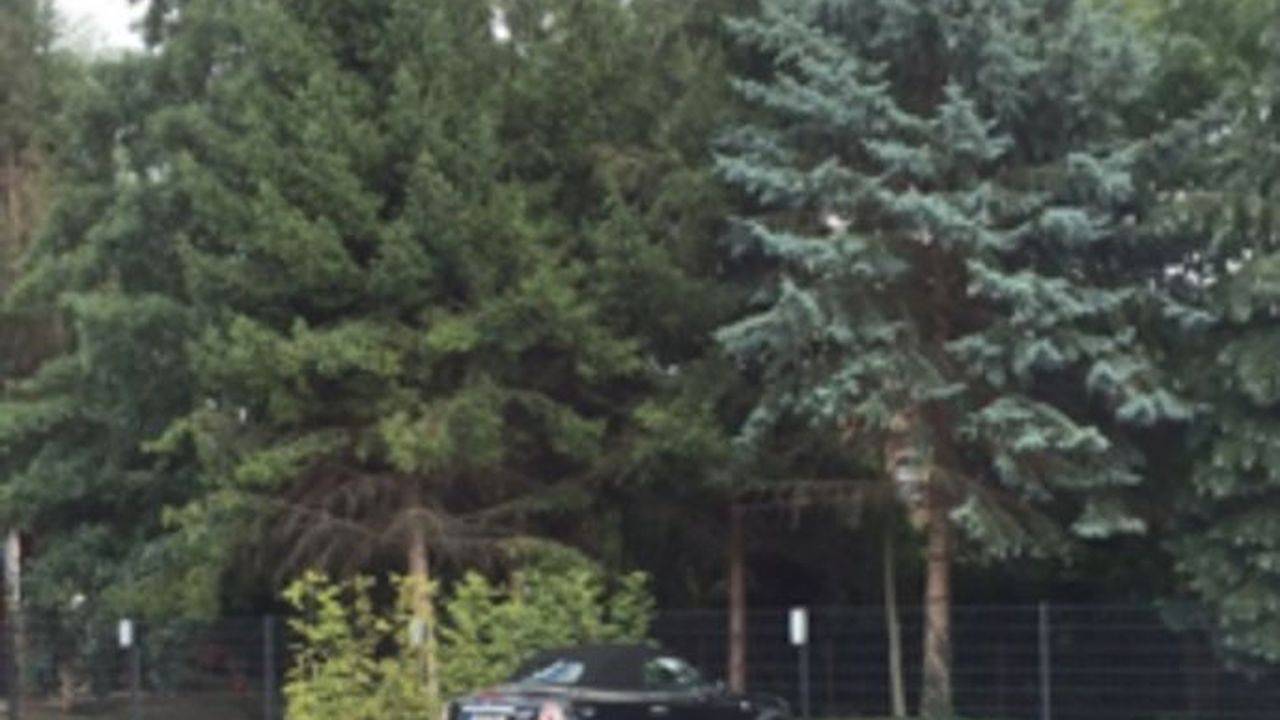 Ganze Ferienwohnung, Ferienwohnung für 4 Personen (58 m²) in Sangerhausen in Sangerhausen, Harzvorland