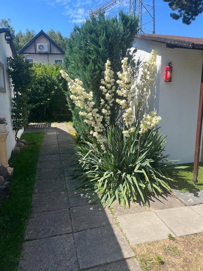 Camping für 2 Personen, mit Terrasse, mit Haustier im Stettiner Haff - 2