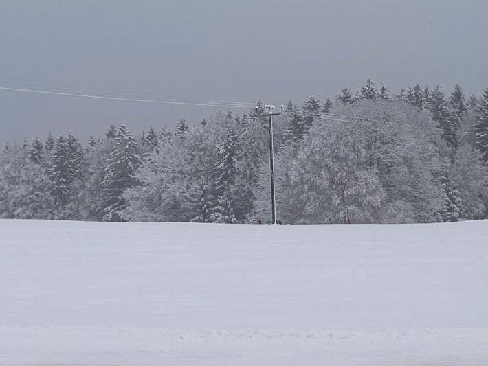 Ferienhaus für 4 Personen, mit Garten, mit Haustier in Spiegelau - 4