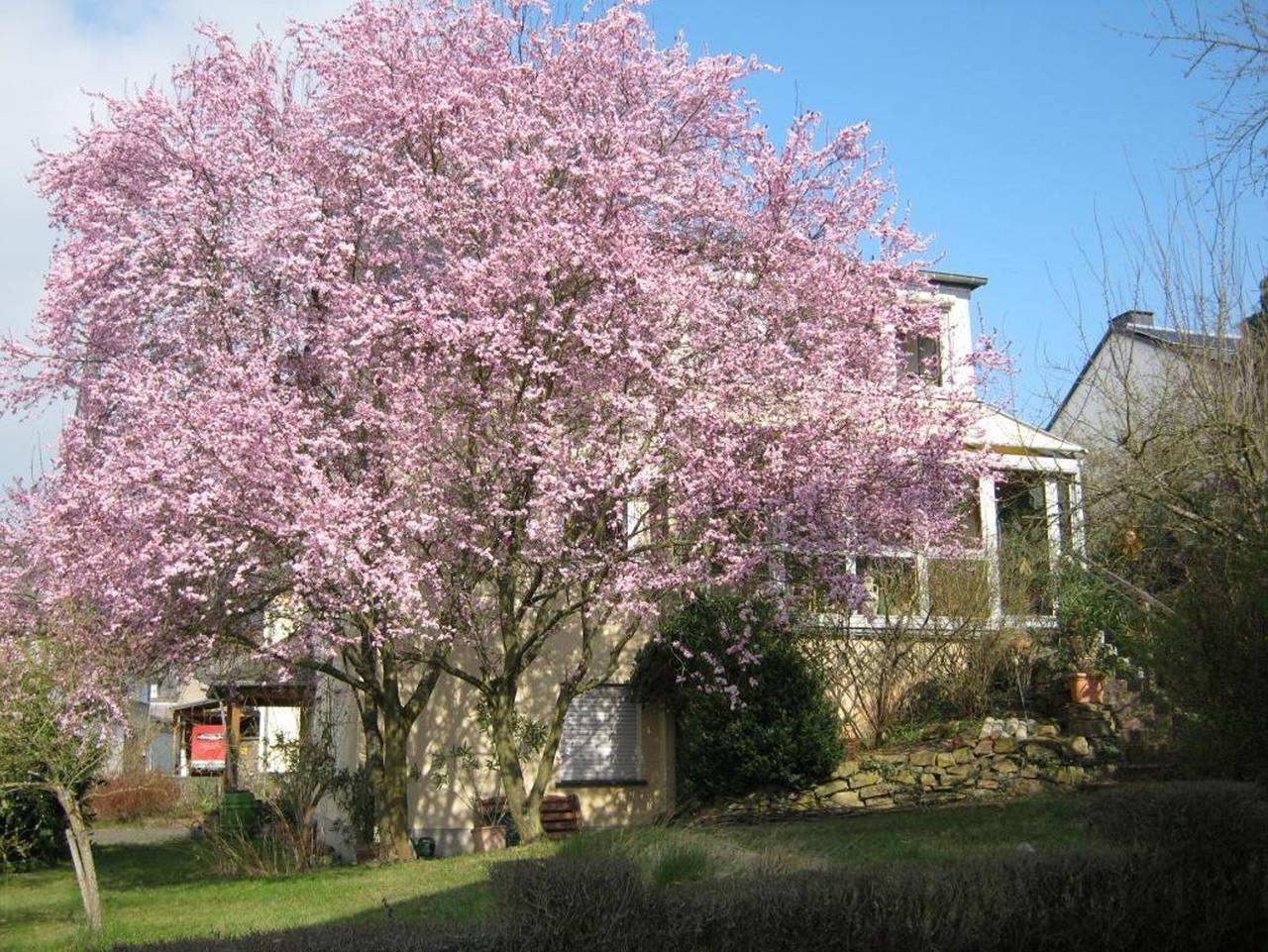 Ganze Ferienwohnung, Gräf Rosemarie - 2-Bettwohnung in Burg Eltz, Treis-Karden
