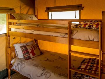 Glamping for 4 People in Dorset, South West England, Photo 4