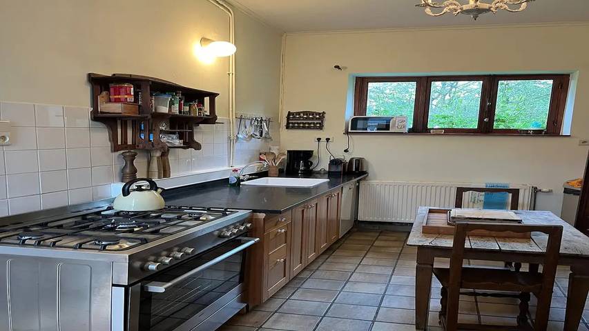 Gîte pour 12 personnes, avec jardin, animaux acceptés à Bertogne - 4