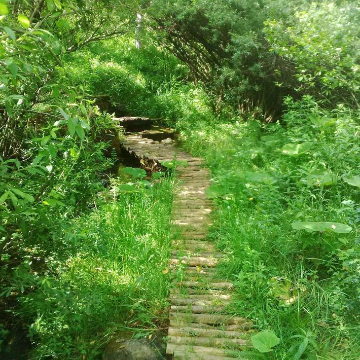 Finca für Gruppen für 5 Personen, mit Garten in Kroatien - 4