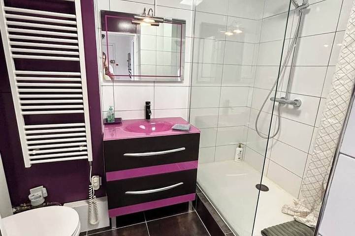 Appartement entier, **** hyper-centre Epernay Penthouse (43sm) 1bd Appartement avec ascenseur, laveuse in Épernay, Marne