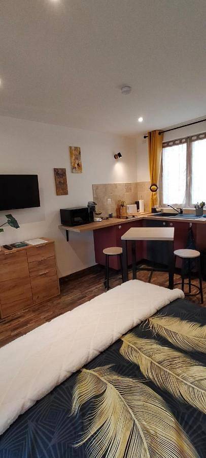 Location de vacances pour 2 personnes, avec terrasse et vue, animaux acceptés dans Nantua - 3