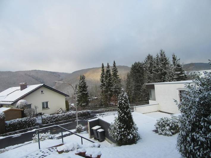 Gîte pour 6 personnes, avec vue et balcon, adapté aux familles dans Gemund - 4
