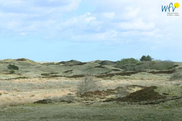Ferienwohnung für 5 Personen, mit Garten und Balkon sowie Sauna auf Langeoog - 3