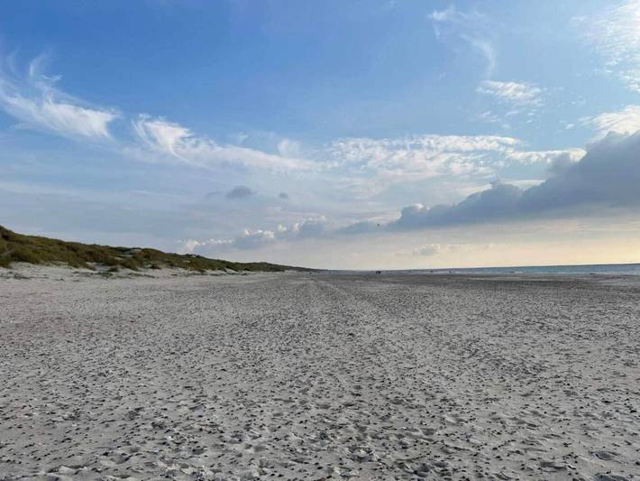 Ferienhaus für 8 Personen, mit Terrasse und Sauna in Henne Strand - 3