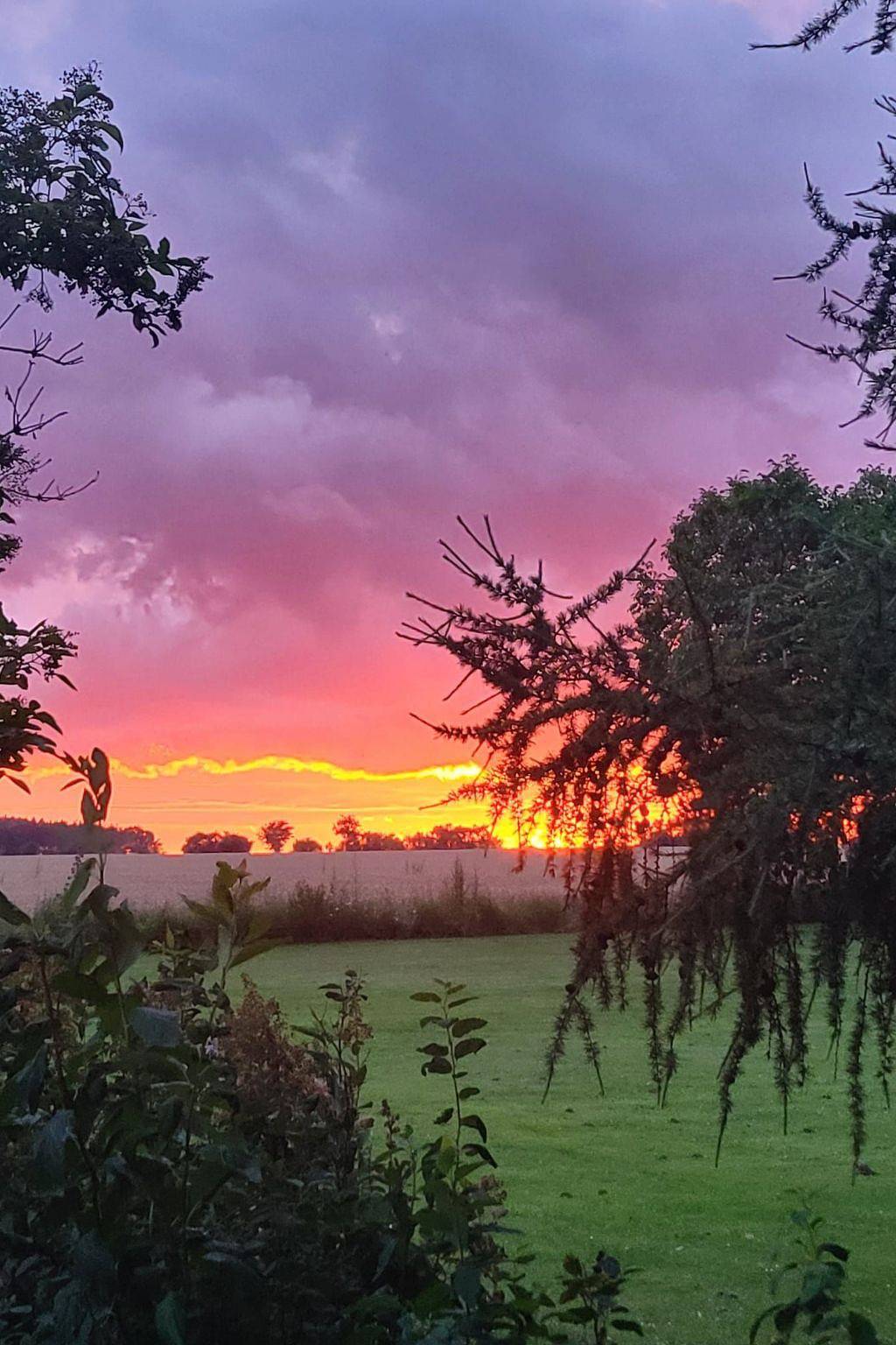 Alte Schmiede in Wittenberg, Fläming