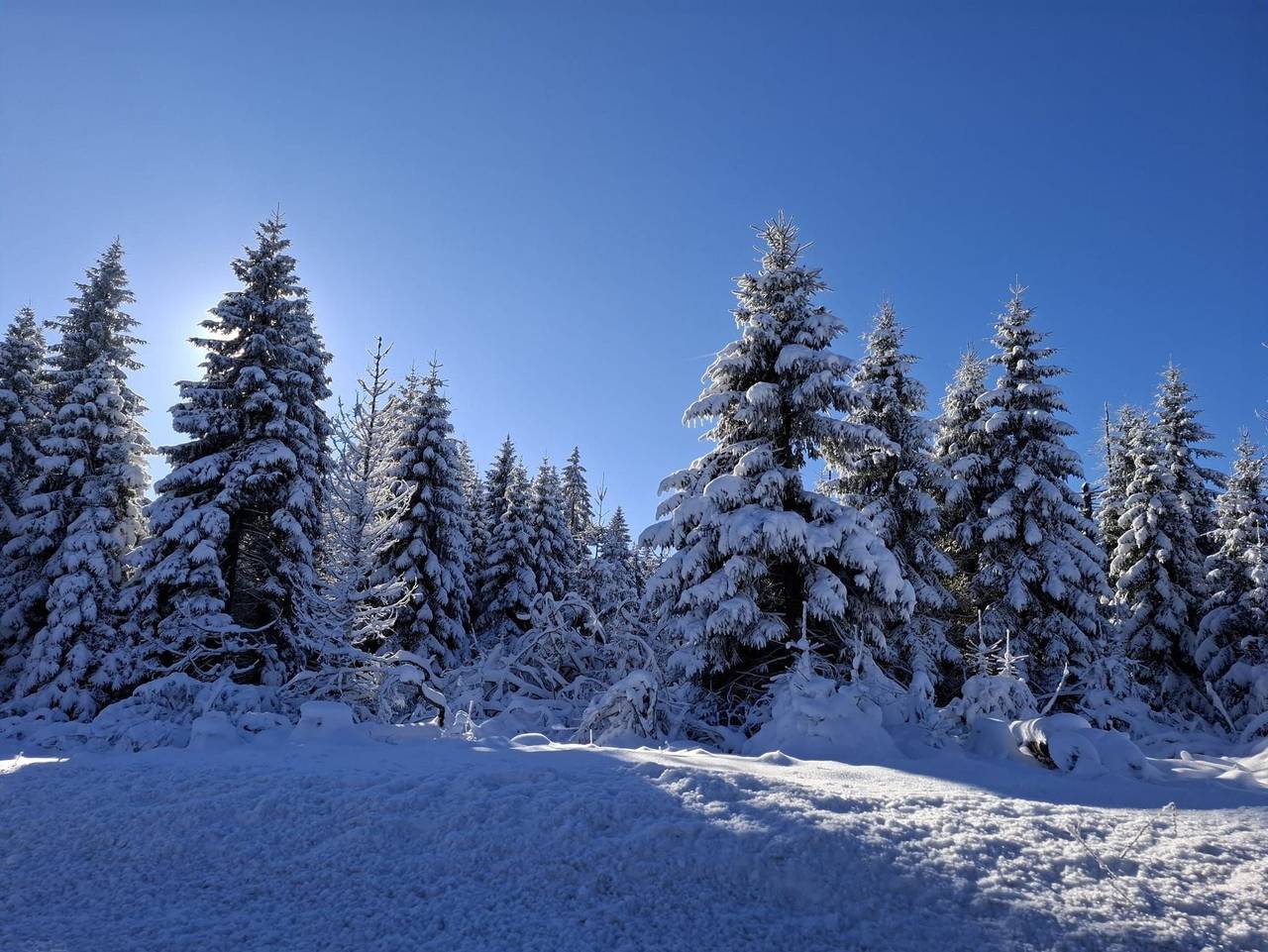 Ganze Ferienwohnung, Fewo Harzer Wiesenberg in Schulenberg im Oberharz, Harz (Sachsen-Anhalt)