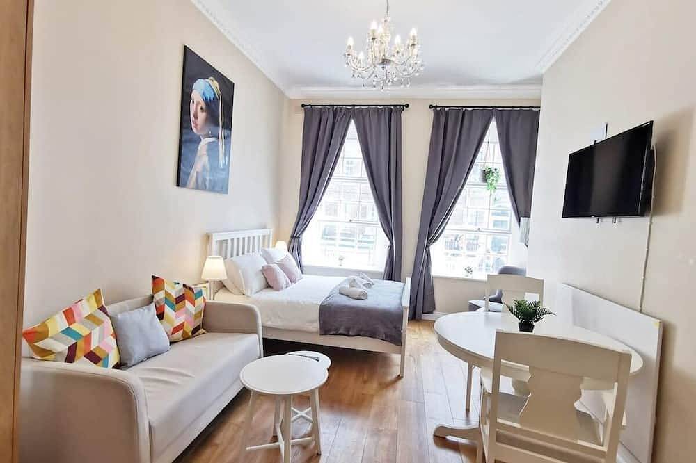Entire apartment, Lovely Renovated Large Spacious Georgian Studio in Dublin, County Dublin