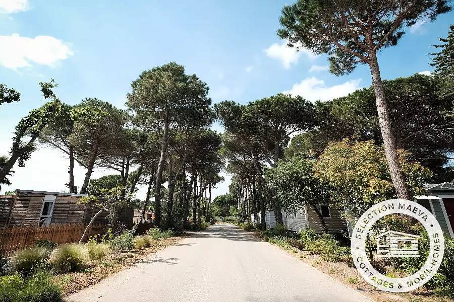 Stacaravan Comfort 4 Kamers 6 Personen Airconditioning + Tv in La Côte Vermeille, Argelès-sur-Mer