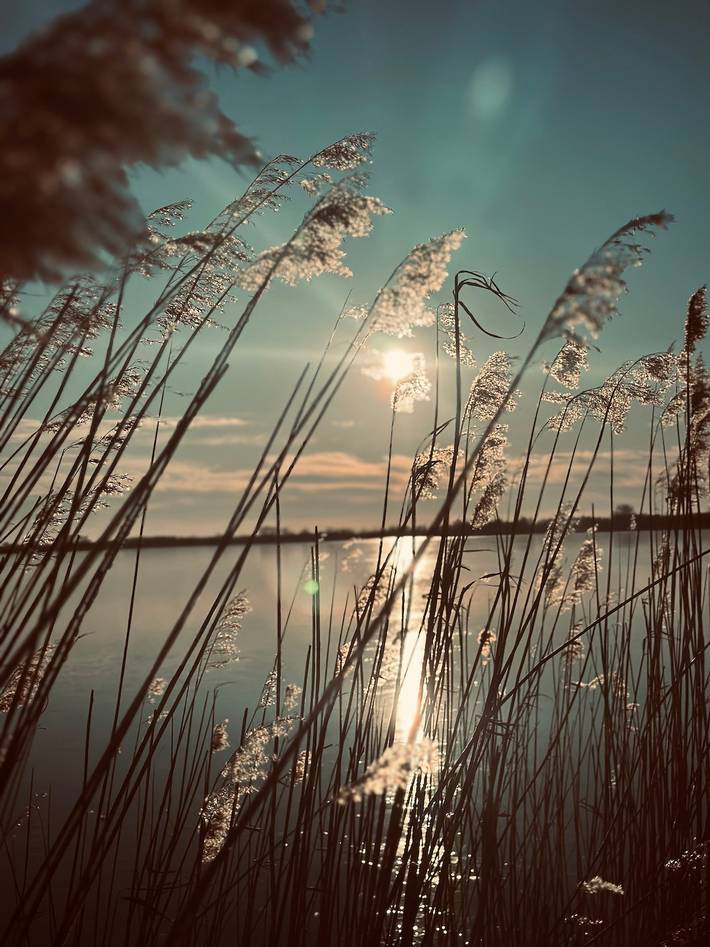 Strandhaus für 4 Personen, mit Garten und Terrasse an der Nordsee