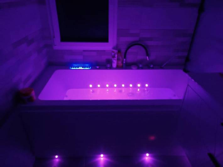 Location de vacances pour 8 personnes, avec jardin et jacuzzi à La Verrie - 3