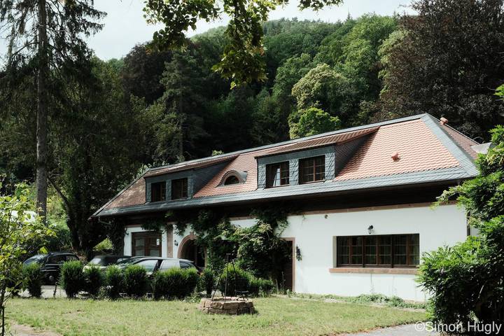 Ferienwohnung für 6 Personen, mit Terrasse und Garten in Neustadt an der Weinstraße - 2