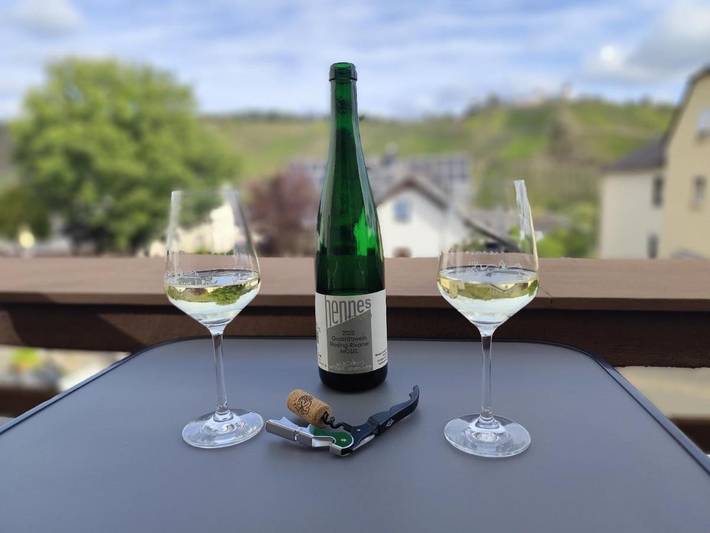 Hotel für 2 Personen, mit Balkon und Terrasse sowie Garten in Pünderich - 3