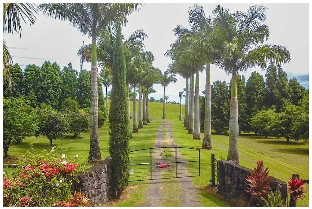 Promotion New Bnb Hilo Orchard Farm mit Fluss und Tieren in Pepeekeo, Hamakua